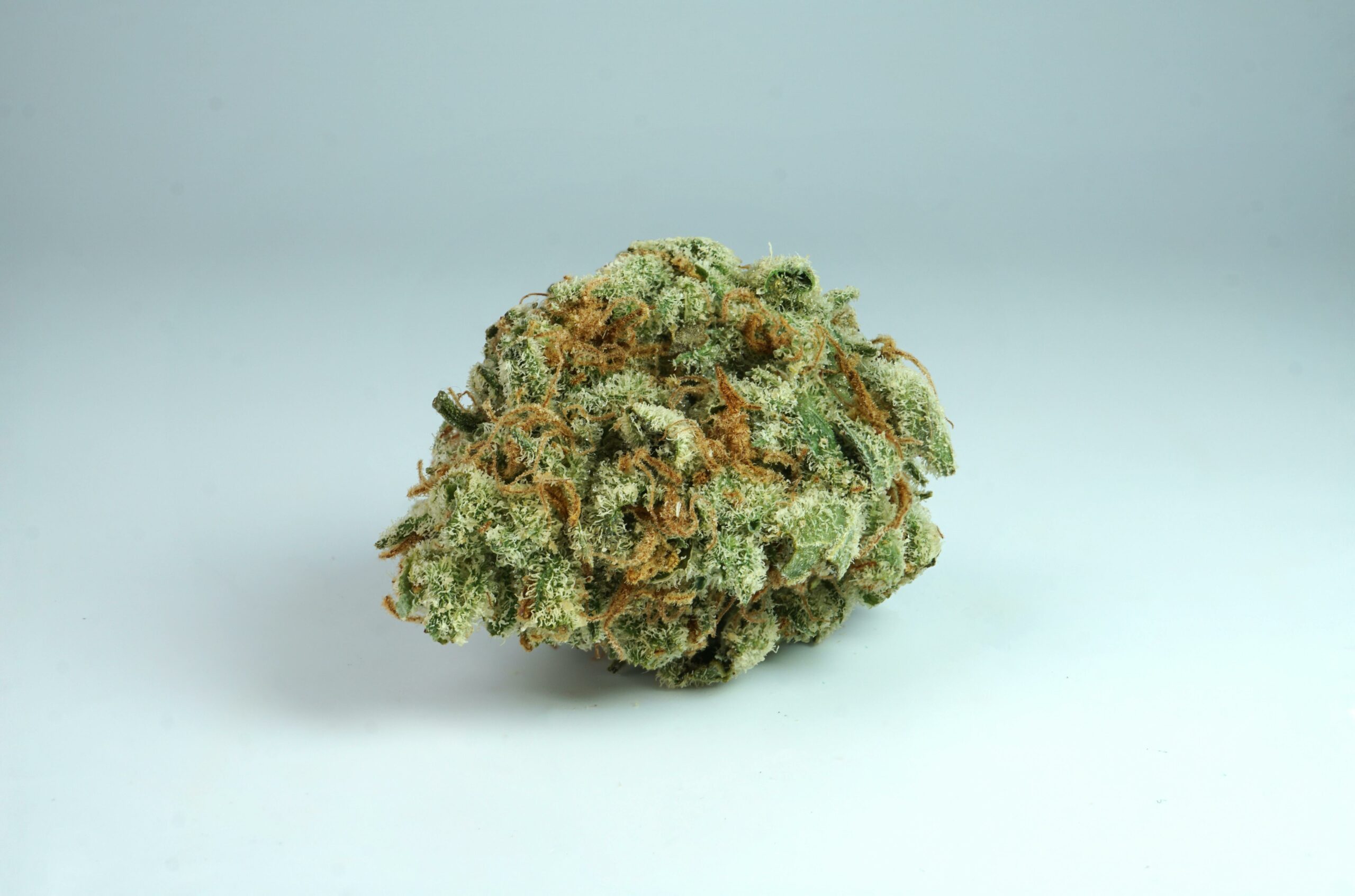 hur konsumerar man cbd